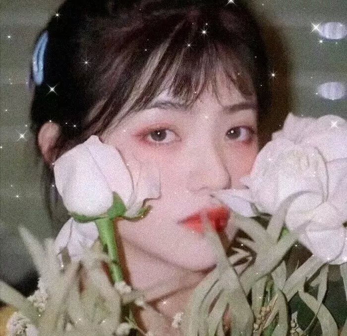 公寓少女